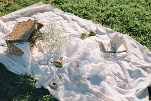 White Picnic Blanket in Grass