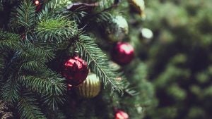 Holiday Events in Indianapolis, IN