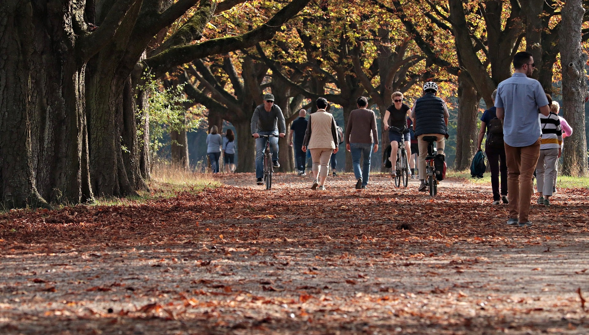 autumn-3731094_1920