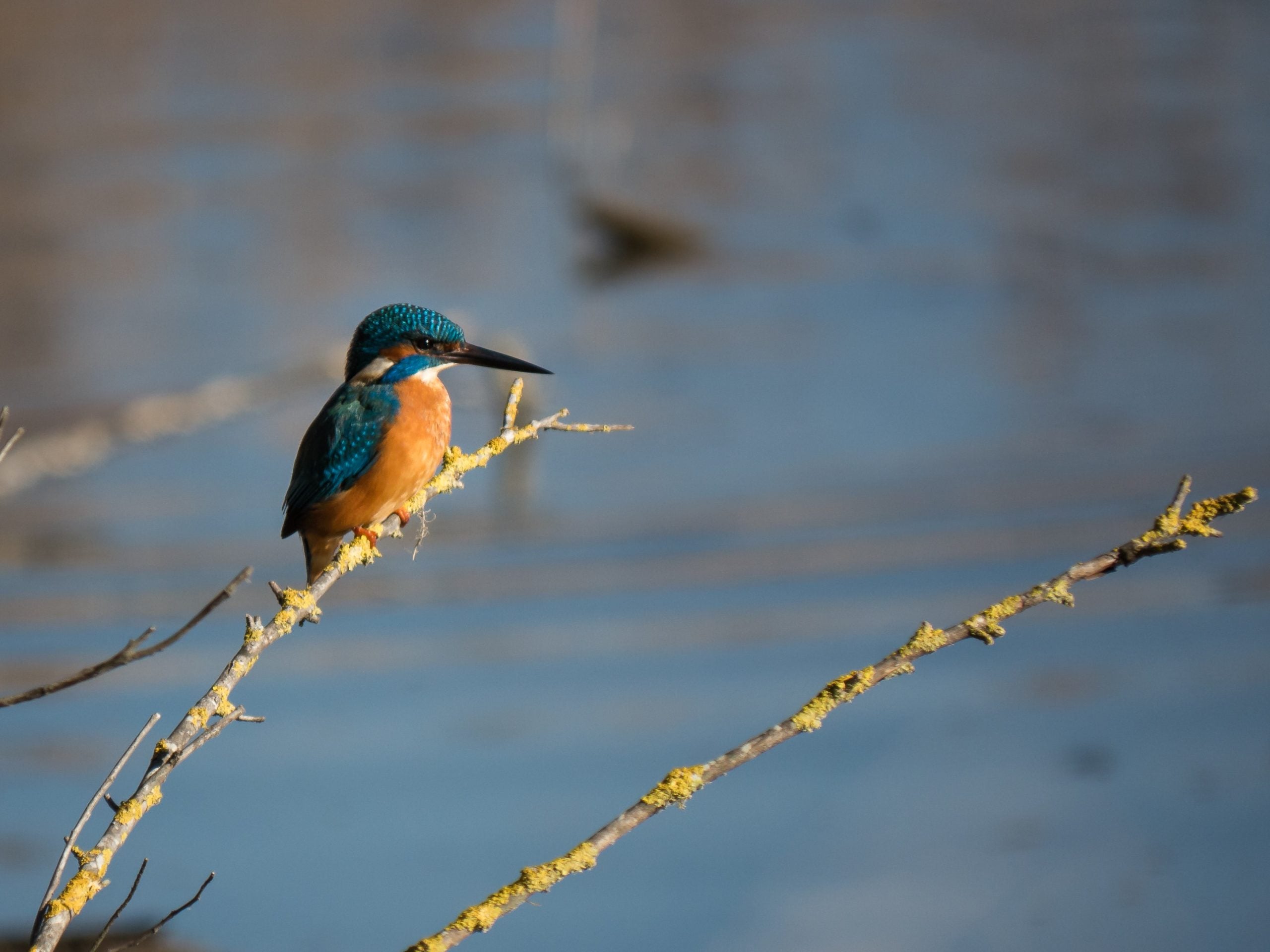 gabriele-agrillo-ENrF-lSsdqU-unsplash