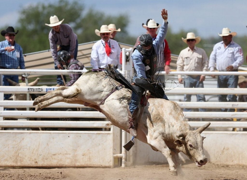 man riding a bull
