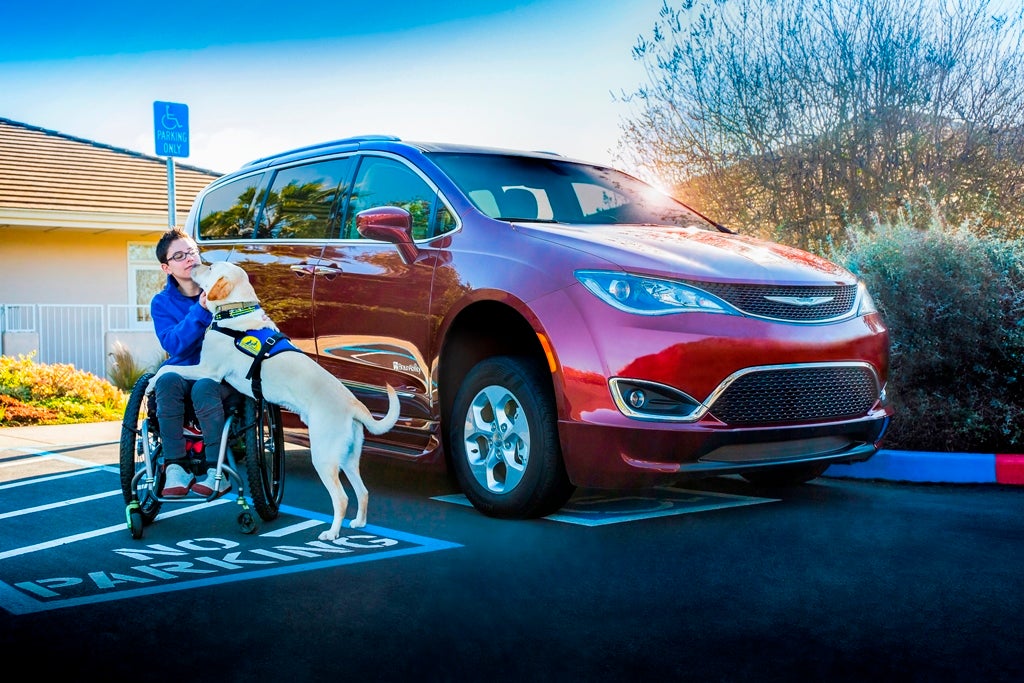 Canine Companions