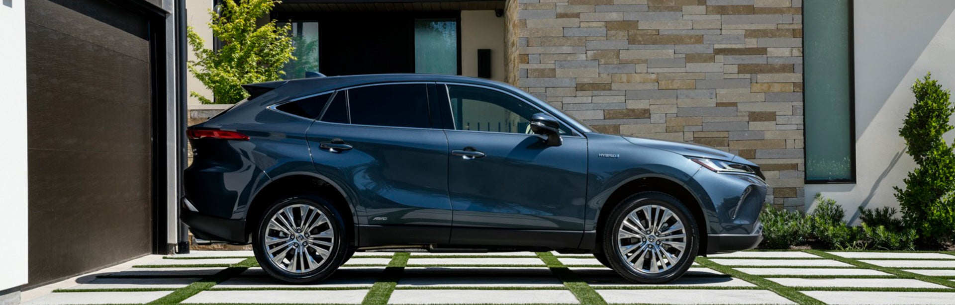 2021-venza