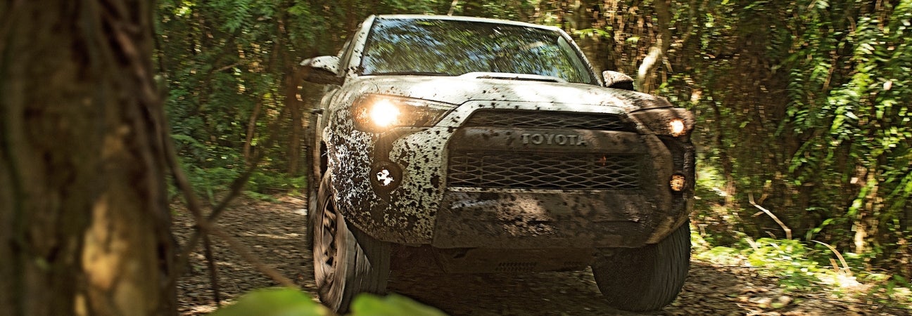 2018 Toyota 4Runner Driving Through Everglades Hialeah FL