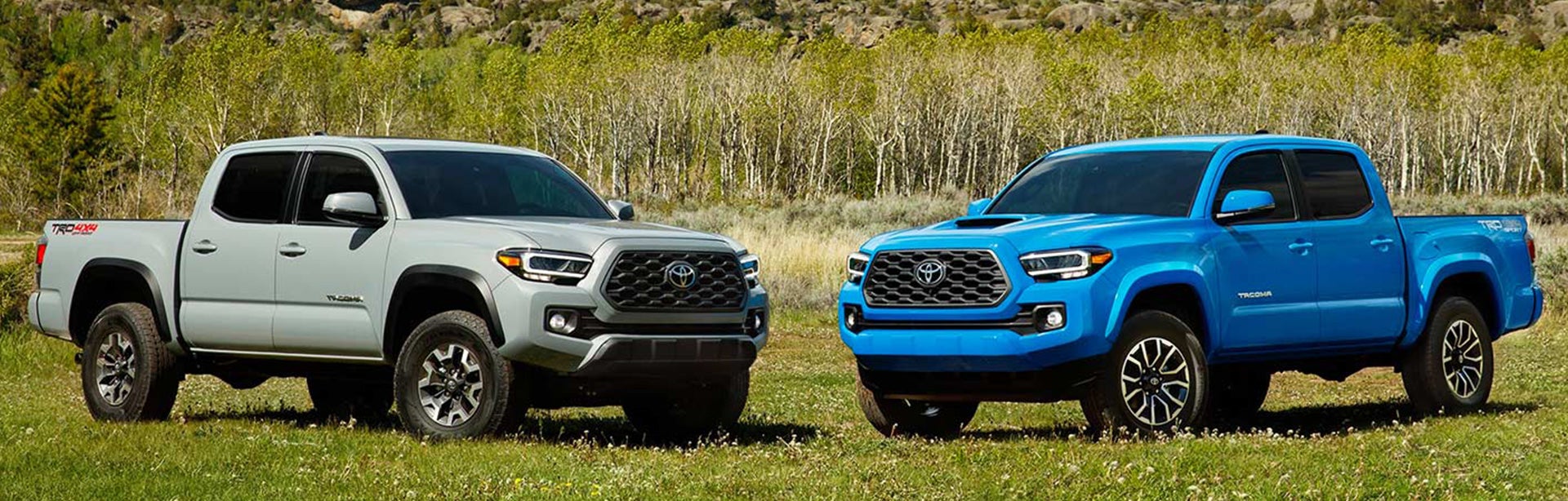 2020-tacoma