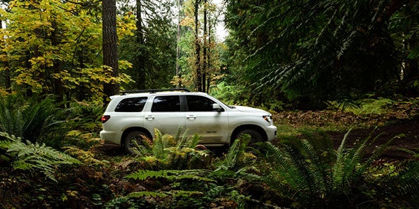 2020 Toyota Sequoia design
