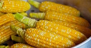 Ears of corn | Fox Toyota of El Paso in El Paso, TX
