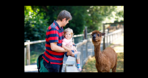 Visiting the Zoo | Fox Toyota of El Paso in El Paso, TX