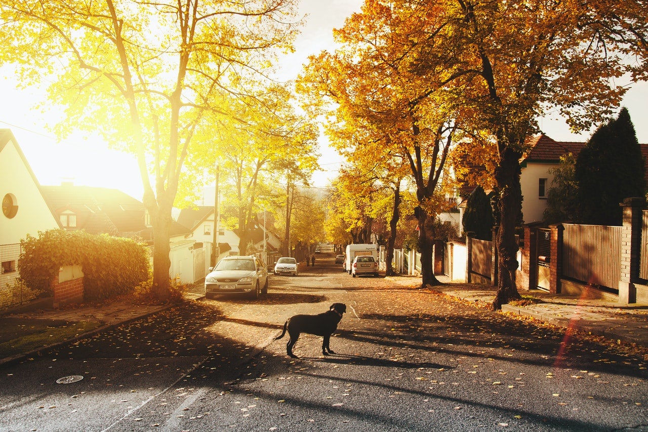 Top 7 Reasons to Love Living in Norwood, MA