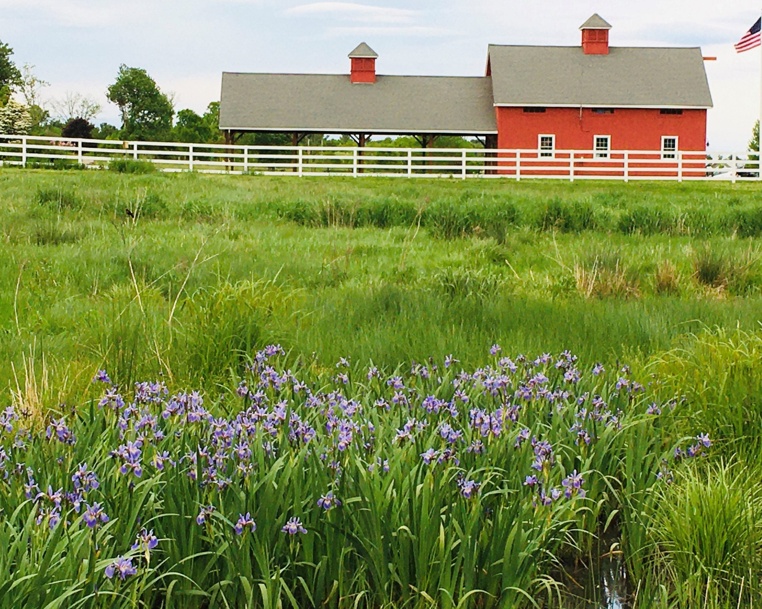 Discover Adams Farm in Walpole, MA