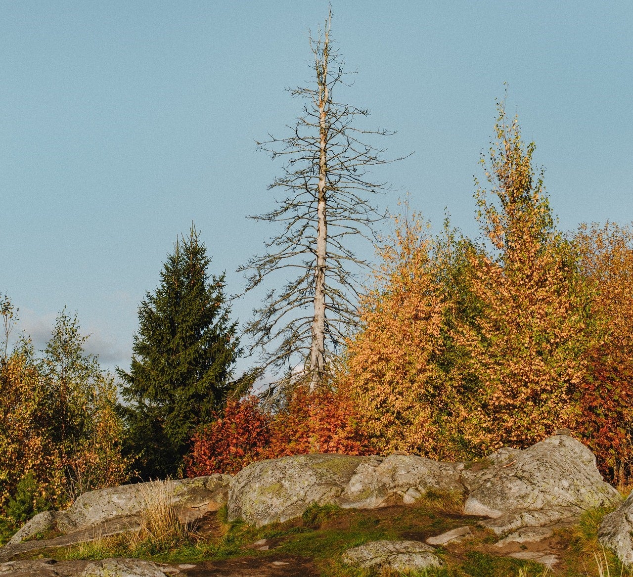 Take a Hike Through the Beautiful Rocky Woods Reservation