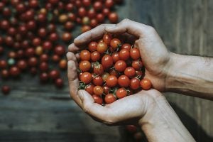 Farm Fresh Food