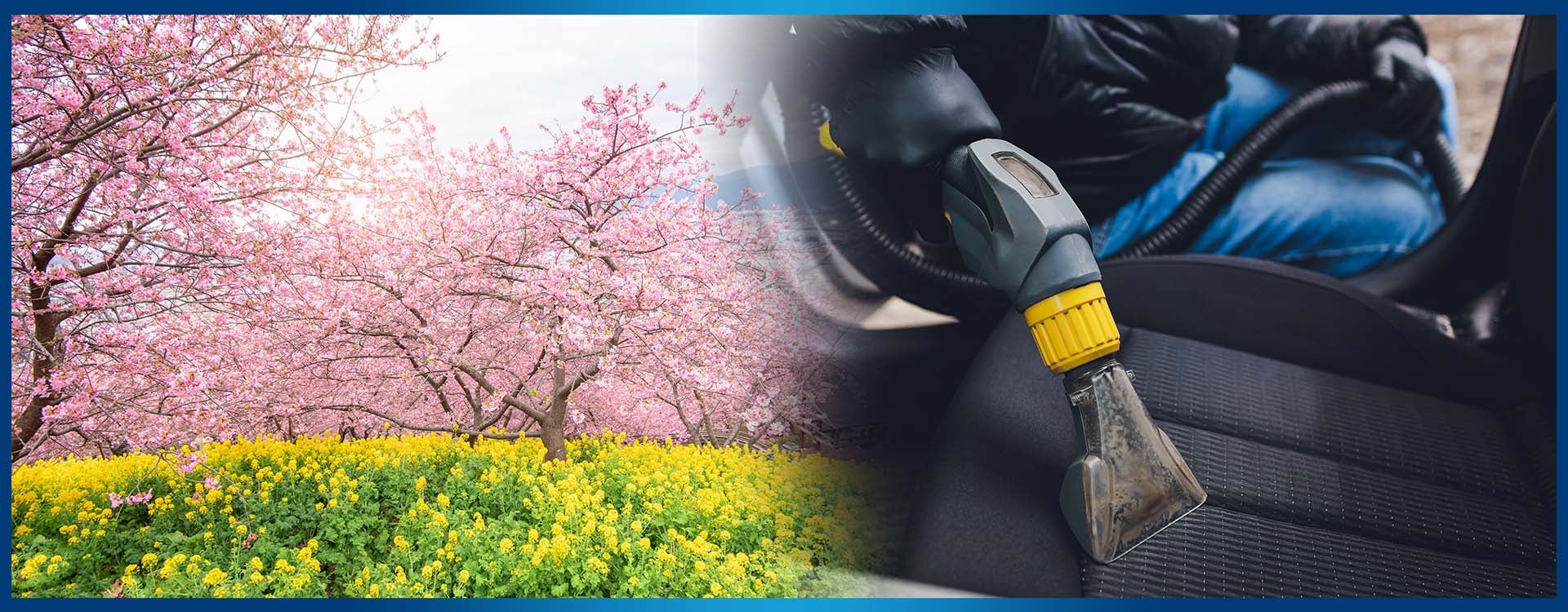 Spring cleaning your Ford
