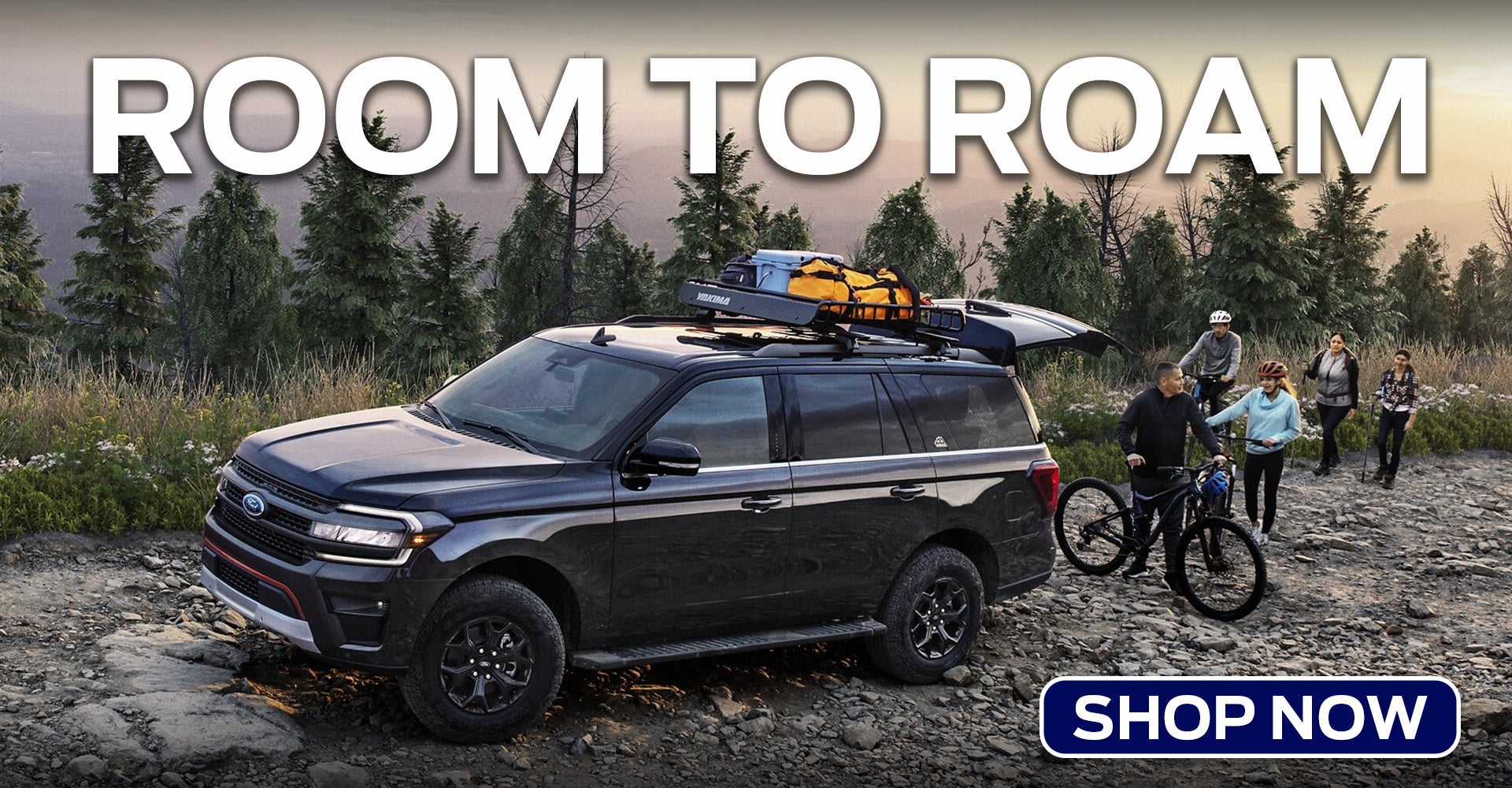 Best Large Ford SUV for Families