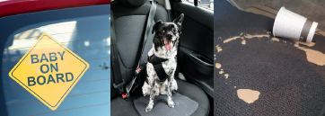 Interior Protection at BK Ford