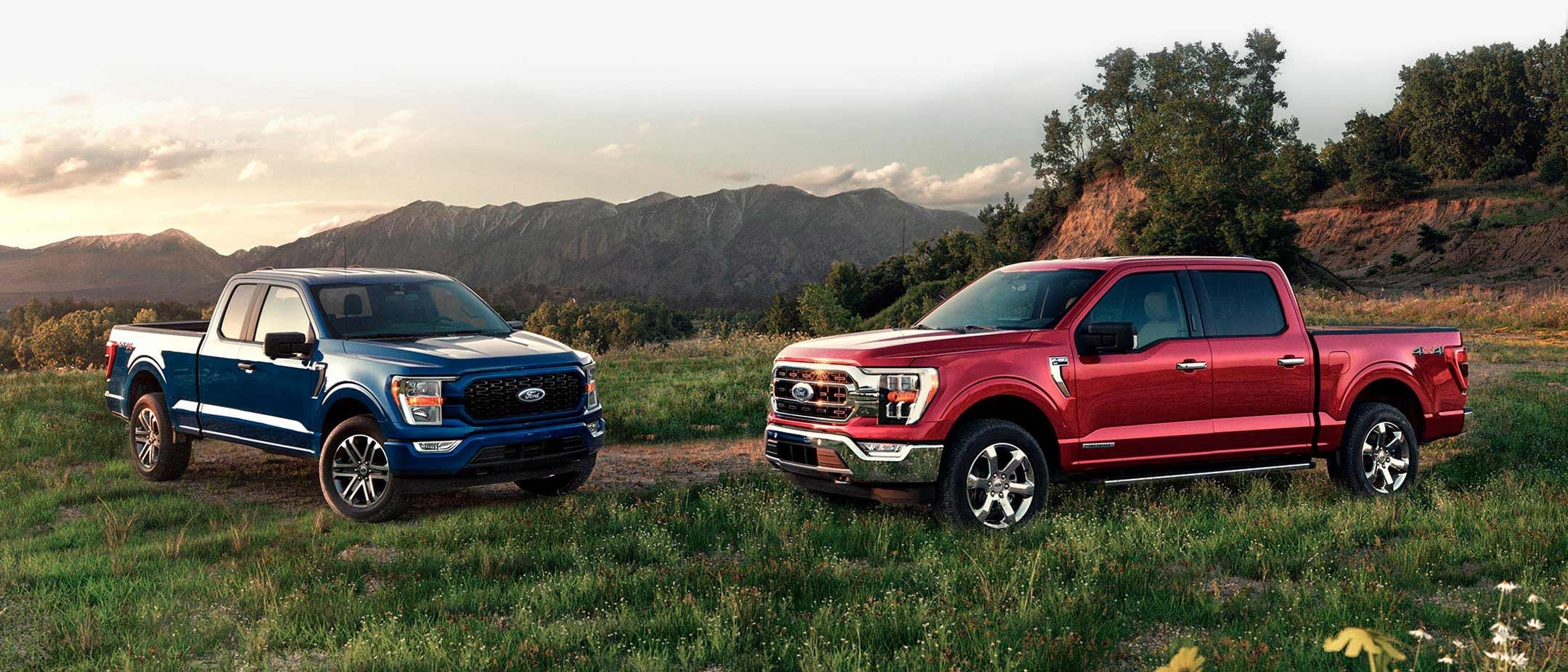All New 2021 F-150