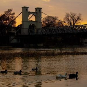 Brazos River