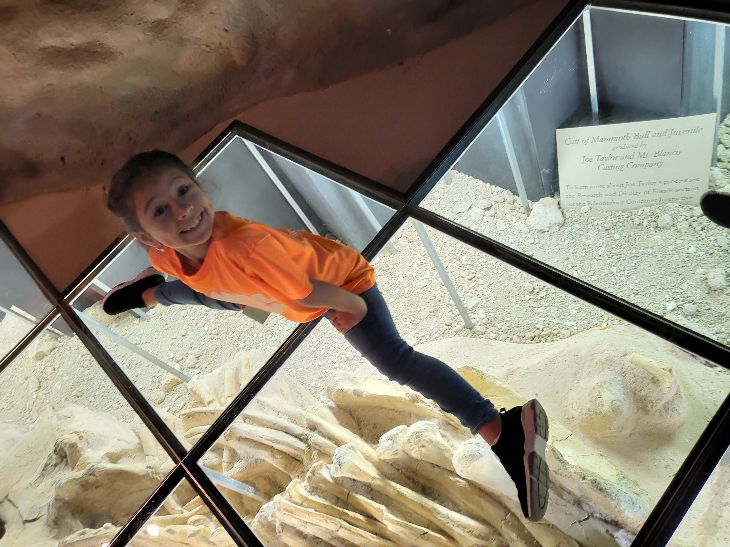 Mayborn Museum