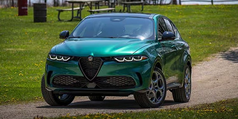 Alfa Romeo Paint Job