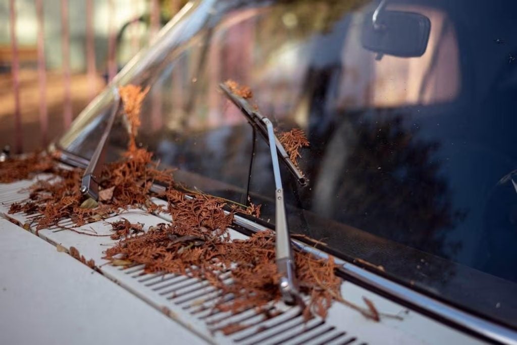 A car with fall leaves on it while the car uses its wipers.