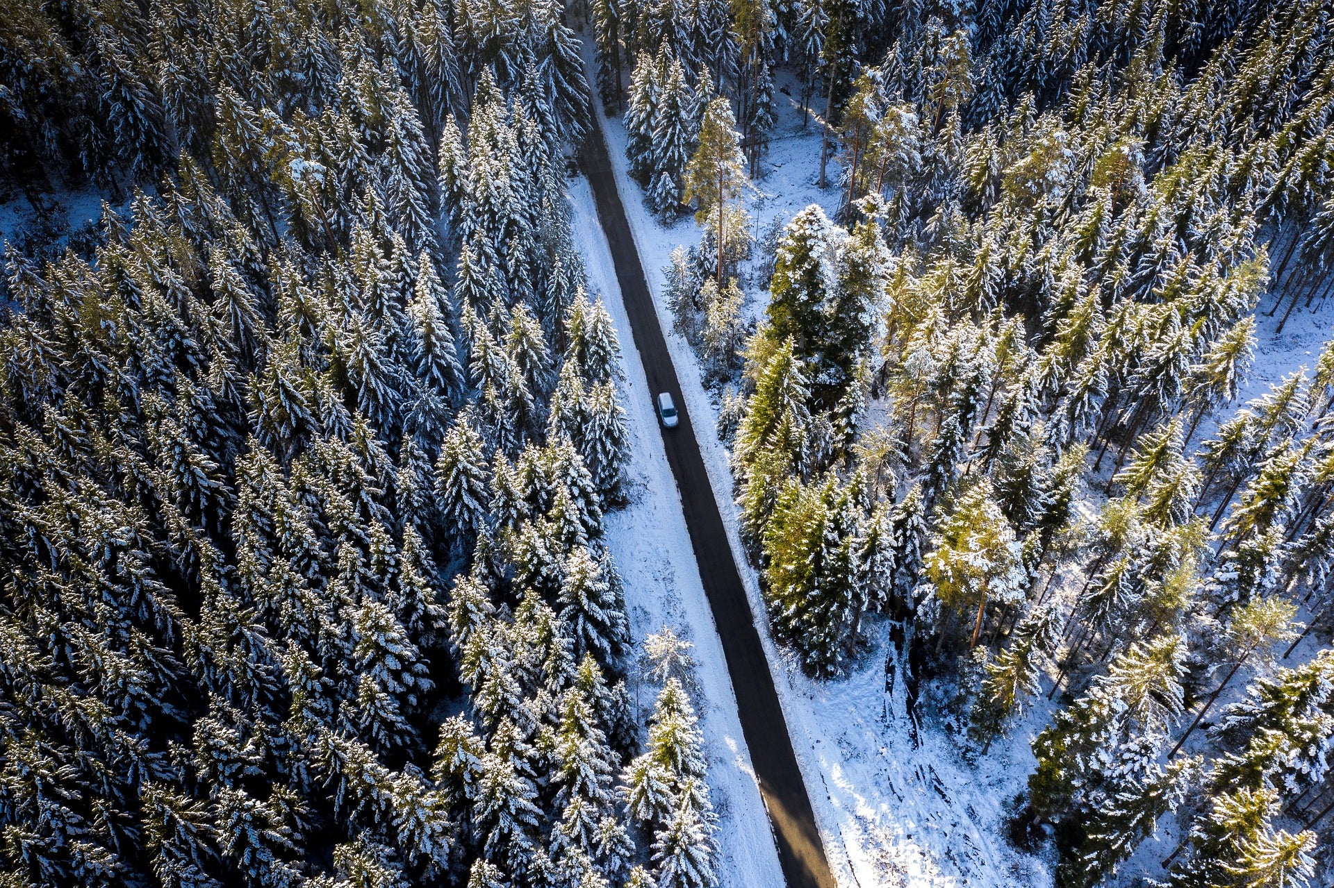 A forest in the winter with a road in the middle