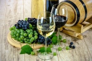 Vineyards in Wakefield Rhode Island