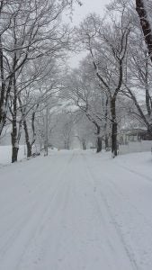 Winter in New England