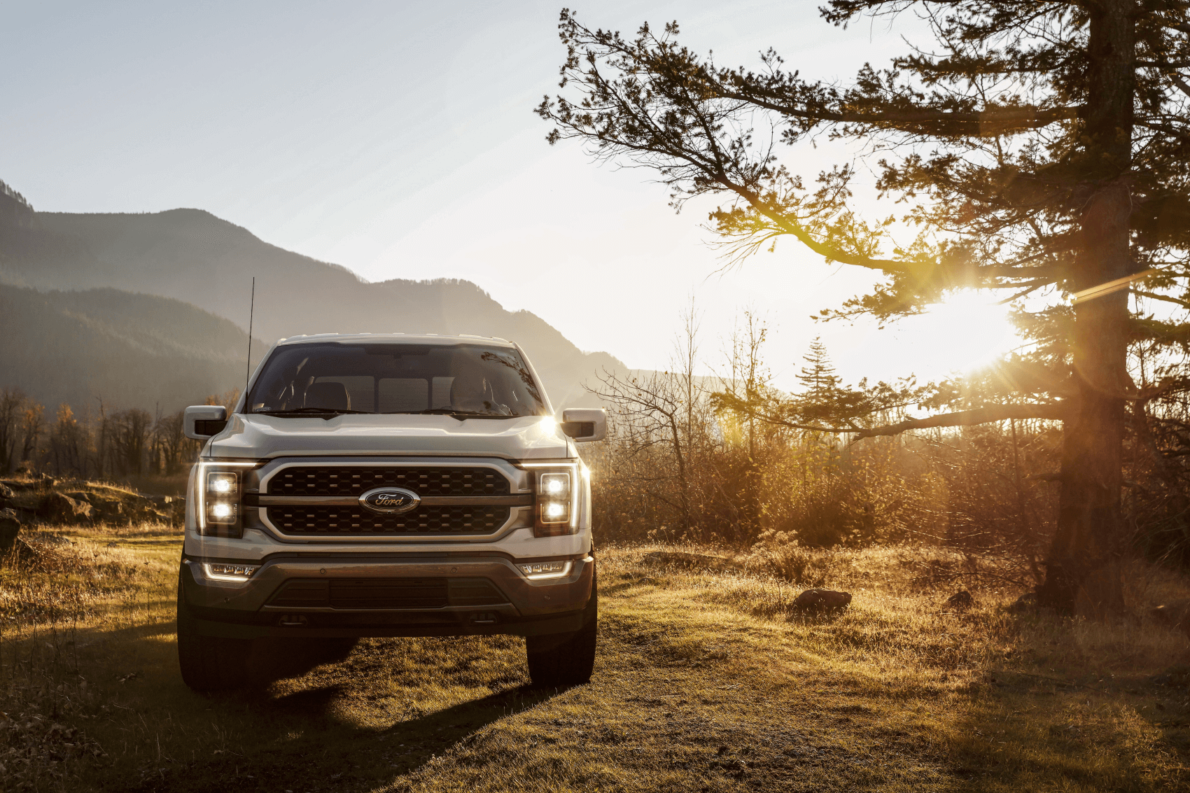 2021 Ford F-150 Silver Mountains