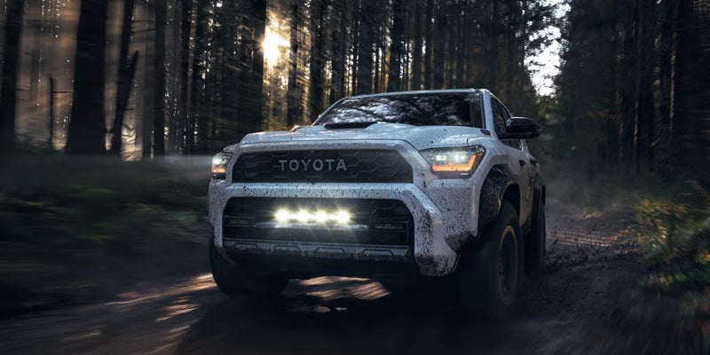 Mud-splattered white Toyota pickup truck drives through a dark forest; sun peeks through dark trees.