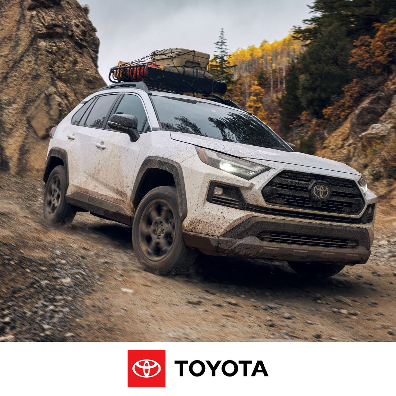 White Toyota RAV4 driving on mountain.