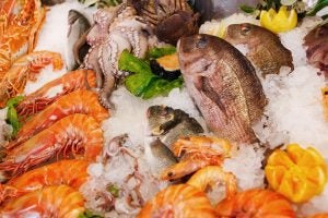 Seafood on Ice
