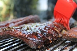 Barbecue in Tampa, FL