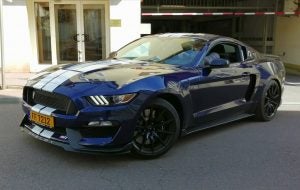 Ford Mustang at Elder Ford in Tampa FL