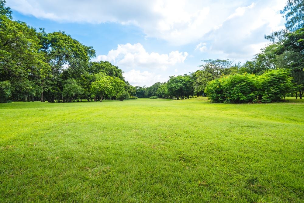 Local Parks Near Fairfax, VA - Jim McKay Chevrolet