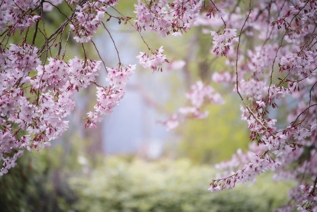 Spring Activities Near Fairfax, VA - Jim McKay Chevrolet