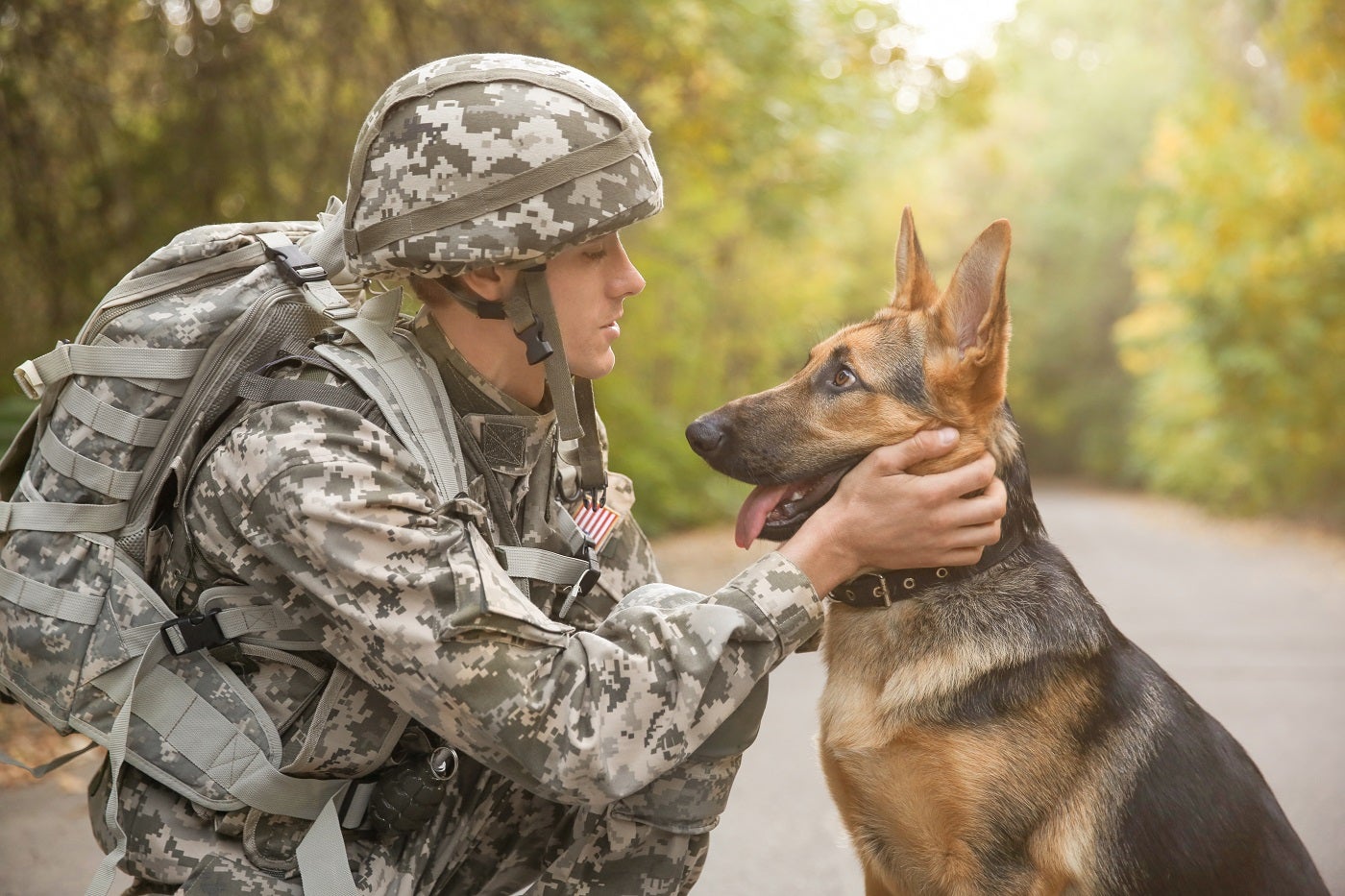 Service Dogs for Veterans 