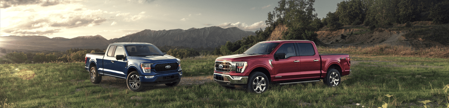 2021 Ford F-150 Blue and Red Meadow