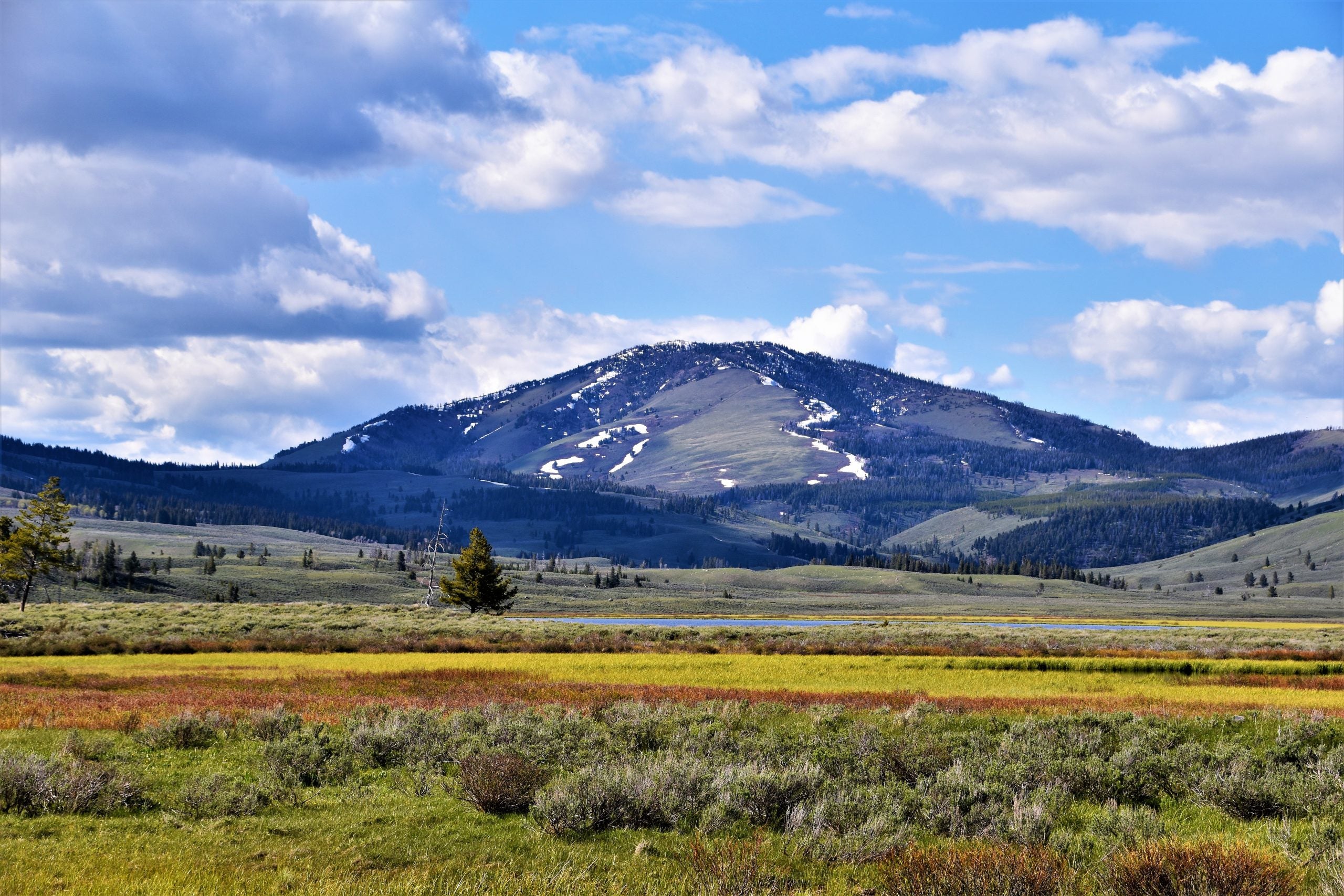 Things to do in Montana