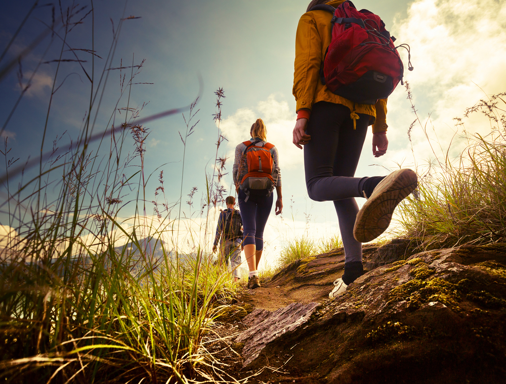 _Great_Hiking_Trails_and_Walking_Paths_Near_Wolf_Point_637601467833232932