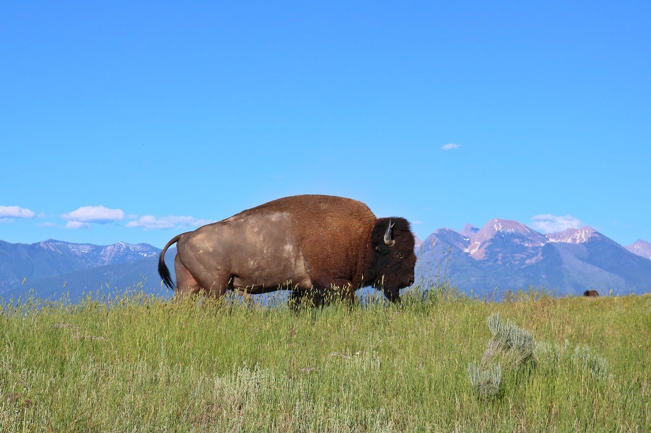 Make the Drive to These 3 Weekend Getaways Near Wolf Point, MT