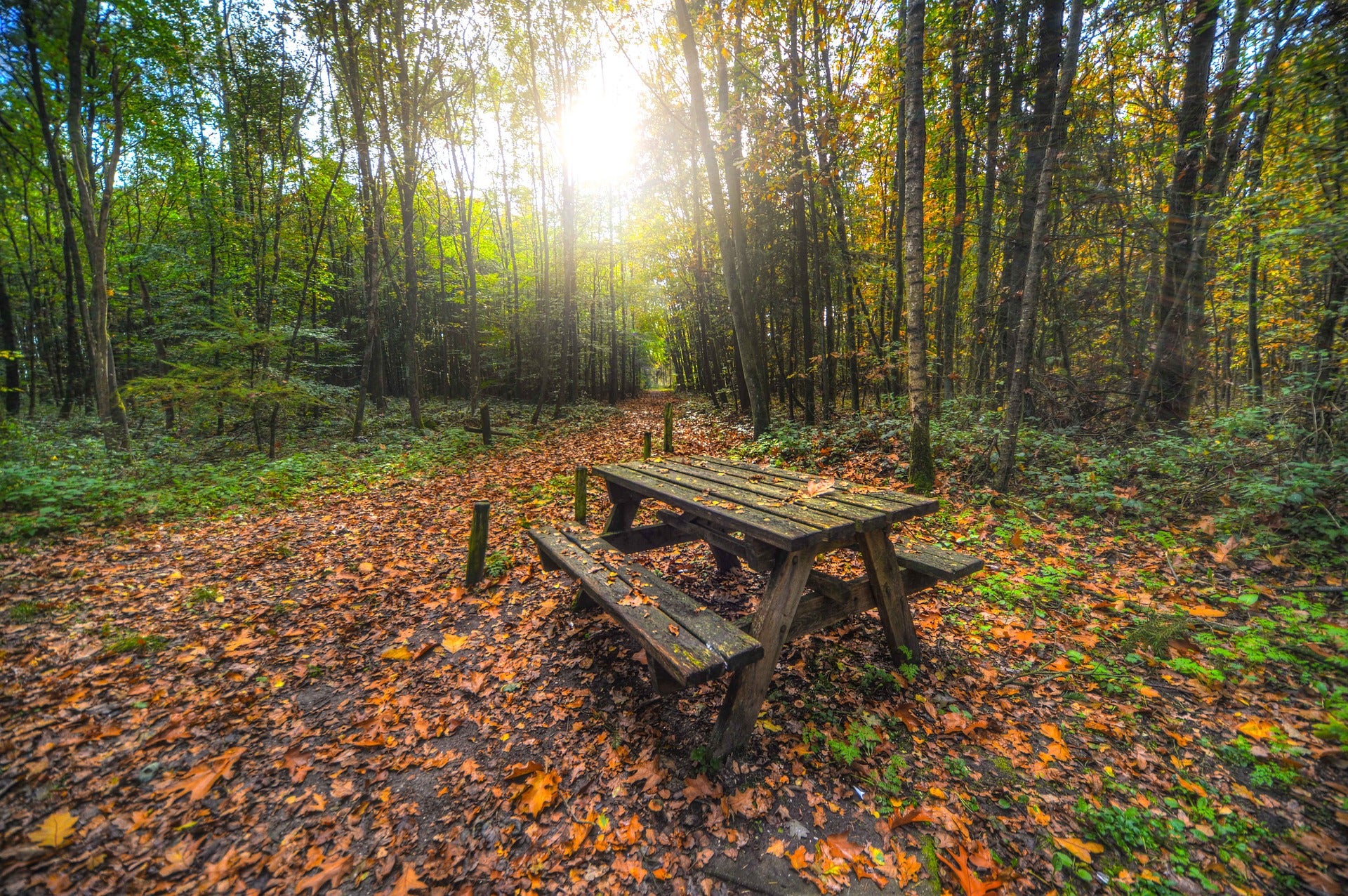 Take the Car and Check Out These 3 Favorite Picnic Spots Near Wolf Point, MT