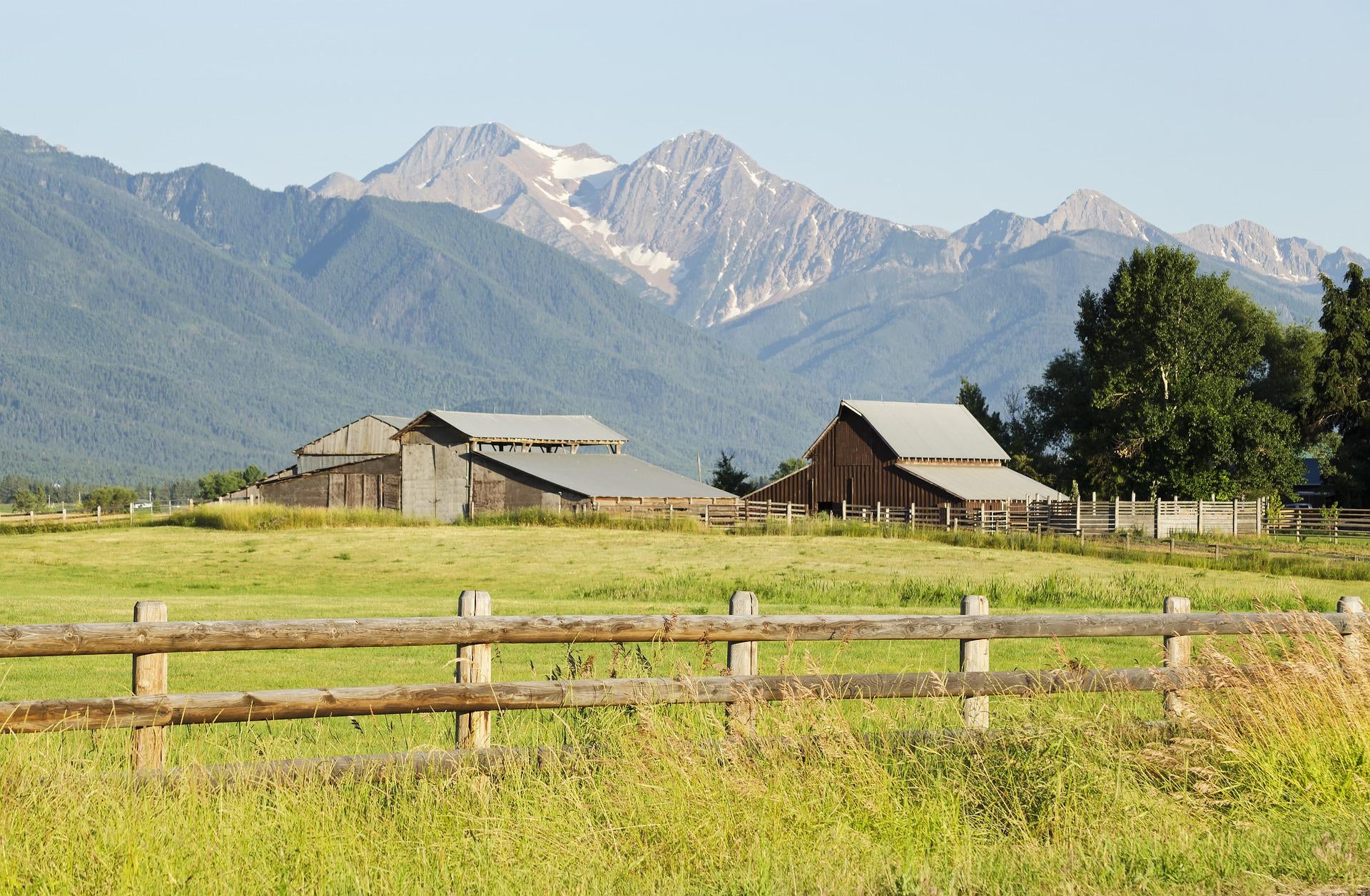 Pack the Car and Check Out These 5 Great Local Parks Near Wolf Point MT