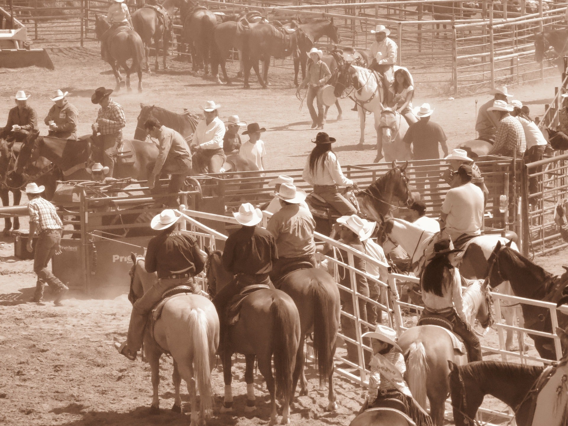 4 Kid-Friendly Activities You Can Drive to From Wolf Point, MT