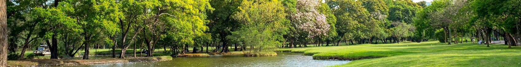 Find Your Haven at Holliday Park