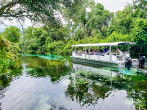 Bayou tour