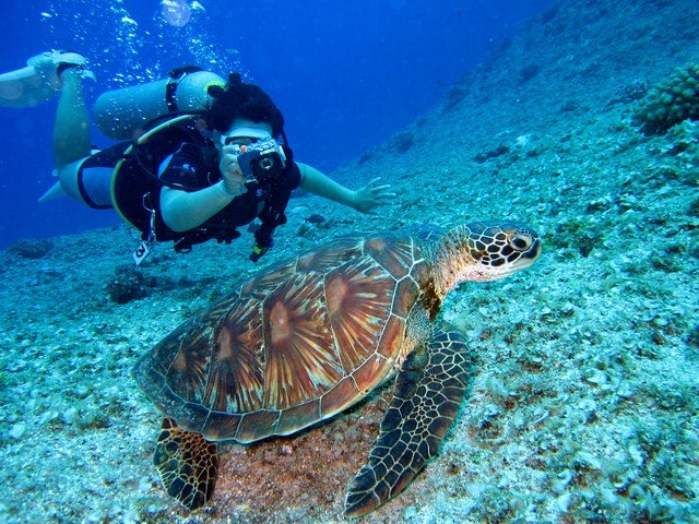 Scuba diving 