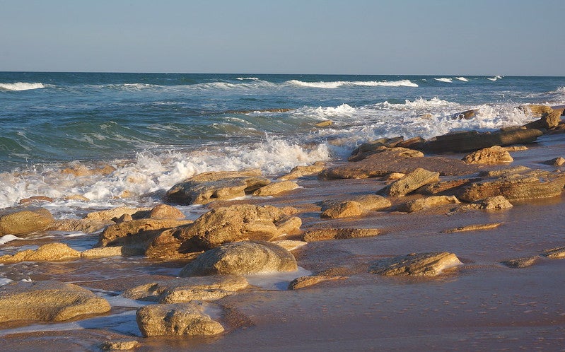 Washington Oaks State Park