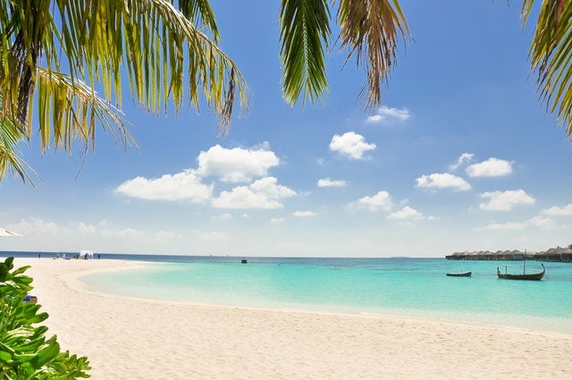 Palm Coast Beaches 