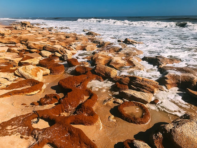 Palm Coast Ford, Florida