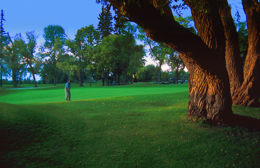 golf courses in temecula, ca